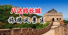 黄色网站大鸡巴操小中国北京-八达岭长城旅游风景区